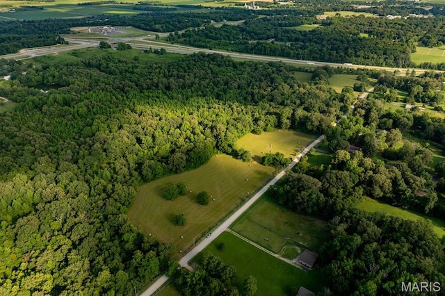 14038 County Road 405, Dexter, MO 63841 - photo 8