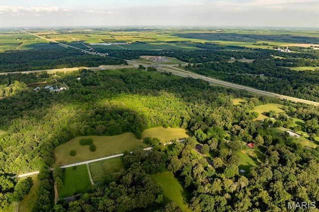 14038 County Road 405, Dexter, MO 63841 - photo 9