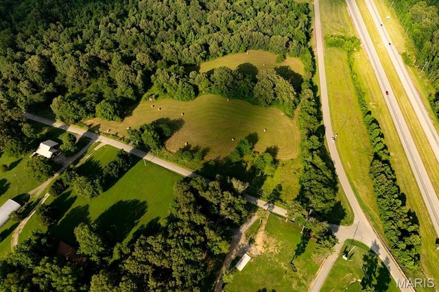 14038 County Road 405, Dexter, MO 63841 - photo 12