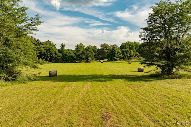 14038 County Road 405, Dexter, MO 63841 - photo 19