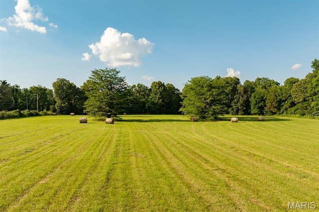 14038 County Road 405, Dexter, MO 63841 - photo 20