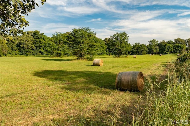 14038 County Road 405, Dexter, MO 63841 - photo 23