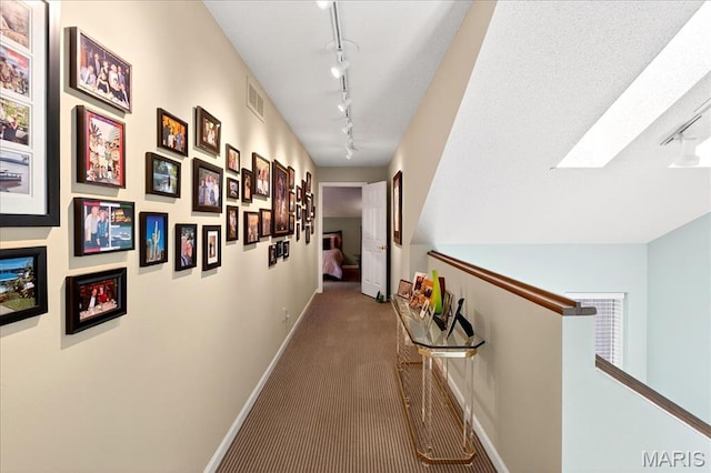 2 Tanewood Ct, Belleville, IL 62223 - corridor with carpet floors, a skylight, track lighting, and an upstairs landing