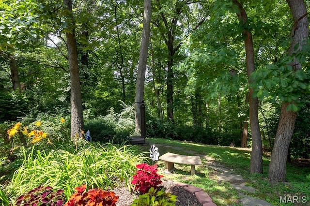 2 Tanewood Ct, Belleville, IL 62223 - view of yard