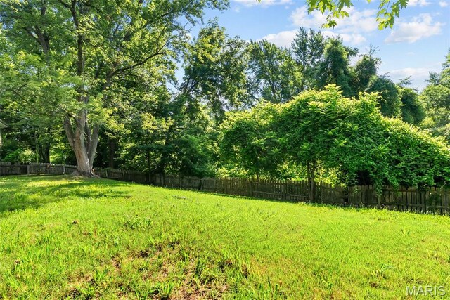 2826 Dawnview Dr, Florissant, MO 63031 - view of yard