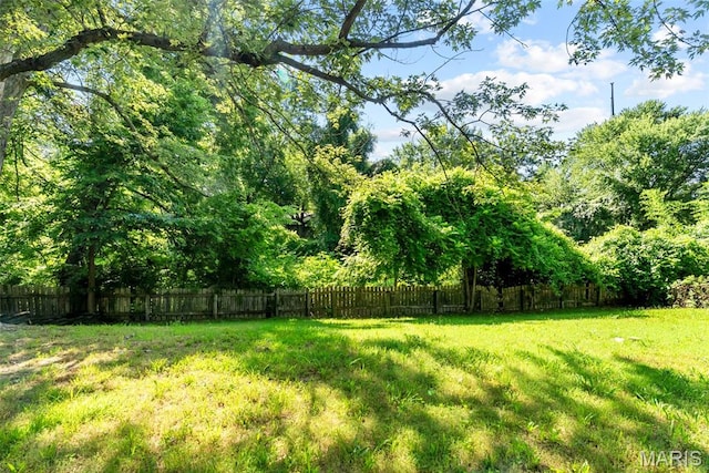 2826 Dawnview Dr, Florissant, MO 63031 - view of yard