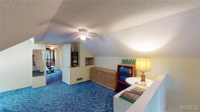515 E S Ave, Greenville, IL 62246 - office area featuring a ceiling fan, a textured ceiling, carpet floors, and lofted ceiling