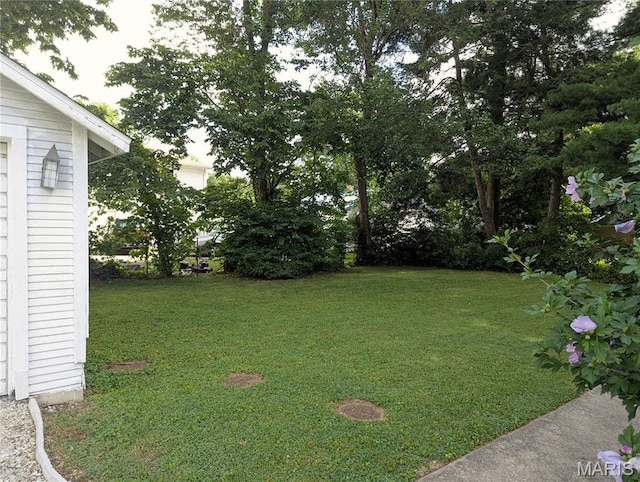 515 E S Ave, Greenville, IL 62246 - view of green lawn