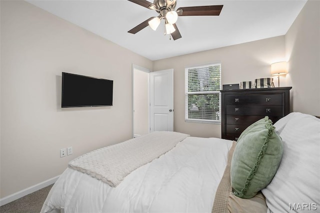 1059 Geyer Grv Unit 10, Kirkwood, MO 63122 - photo 23