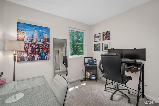 1059 Geyer Grv Unit 10, Kirkwood, MO 63122 - photo 31