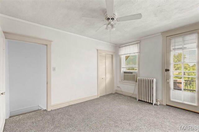 3850 Detonty St, Saint Louis, MO 63110 - photo 10
