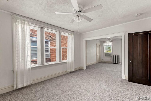 3850 Detonty St, Saint Louis, MO 63110 - photo 14