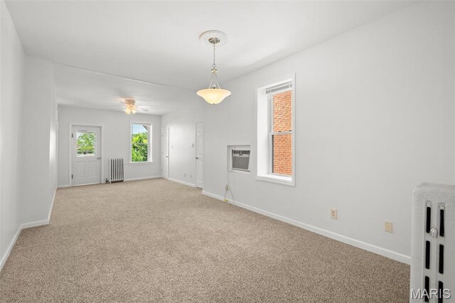 3850 Detonty St, Saint Louis, MO 63110 - photo 35