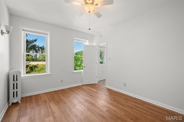 3850 Detonty St, Saint Louis, MO 63110 - photo 46