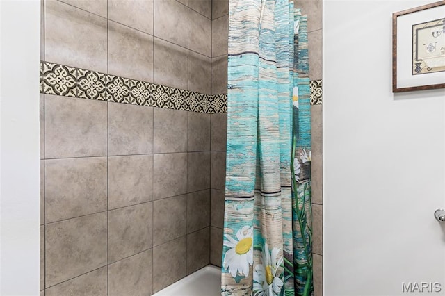 712 Maple St, Hillsboro, MO 63050 - bathroom with curtained shower