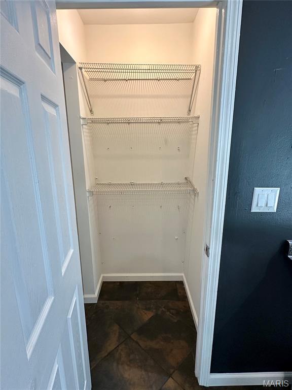 7 Oxbow Rd, Saint Peters, MO 63376 - view of walk in closet