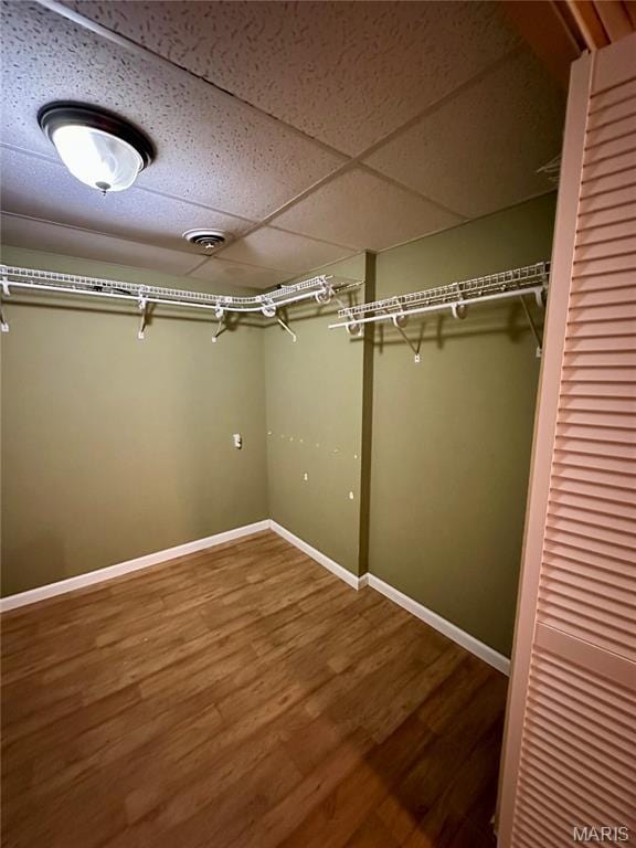 7 Oxbow Rd, Saint Peters, MO 63376 - walk in closet with wood finished floors and a paneled ceiling