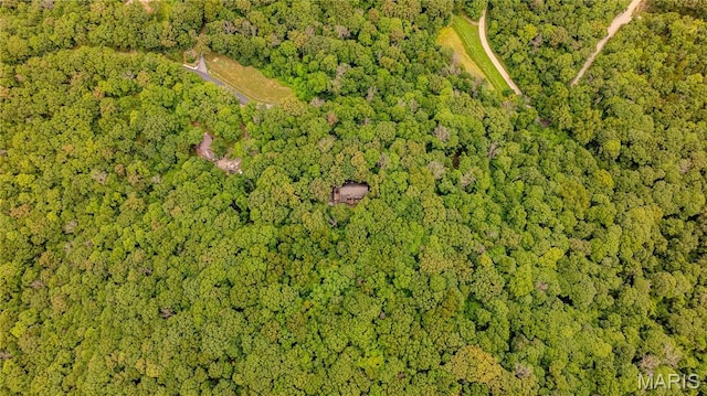532 Fairfield Valley Rd, Pacific, MO 63069 - view of property location featuring a forest