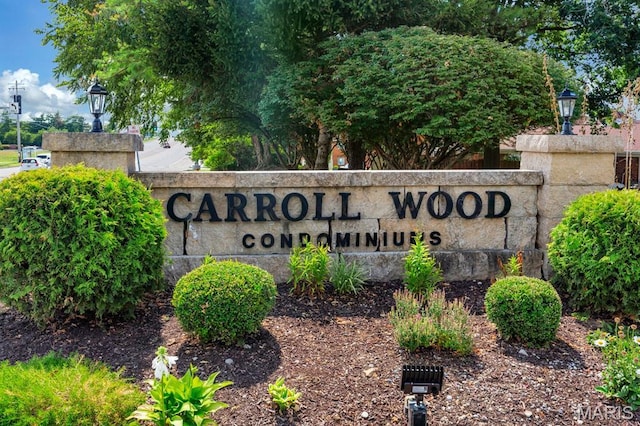 10730 Carroll Wood Way, Saint Louis, MO 63128 - photo 18