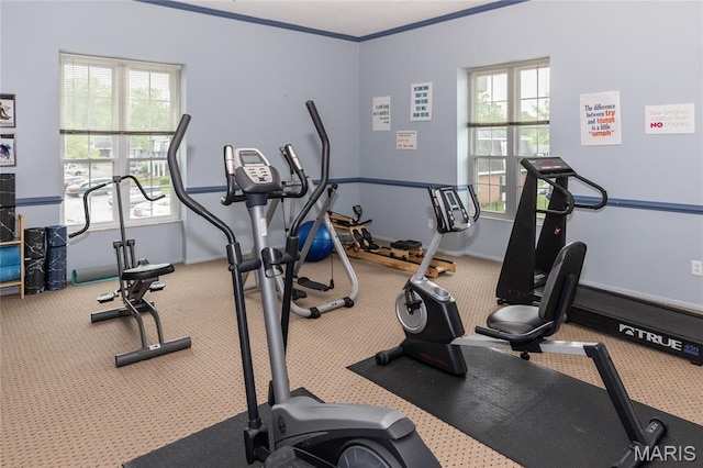 1675 Blue Ridge Dr Unit B, Lemay Township, MO 63125 - exercise area with carpet floors