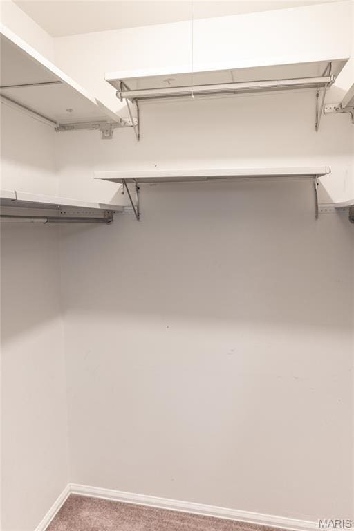 1675 Blue Ridge Dr Unit B, Lemay Township, MO 63125 - walk in closet with carpet flooring