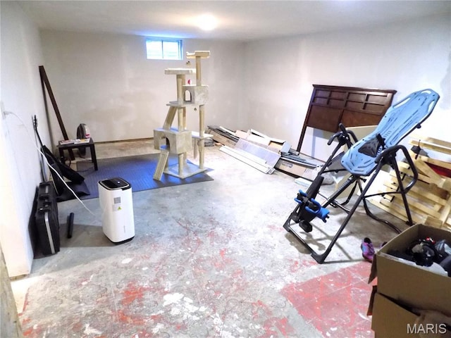 14875 County Road 2310, St James, MO 65559 - view of exercise room