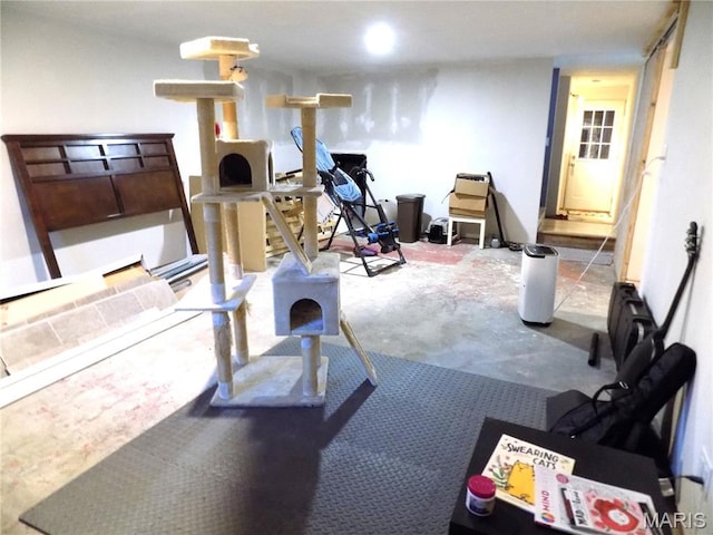 14875 County Road 2310, St James, MO 65559 - view of exercise room