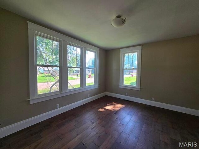 119 William St, Sikeston, MO 63801 - photo 10