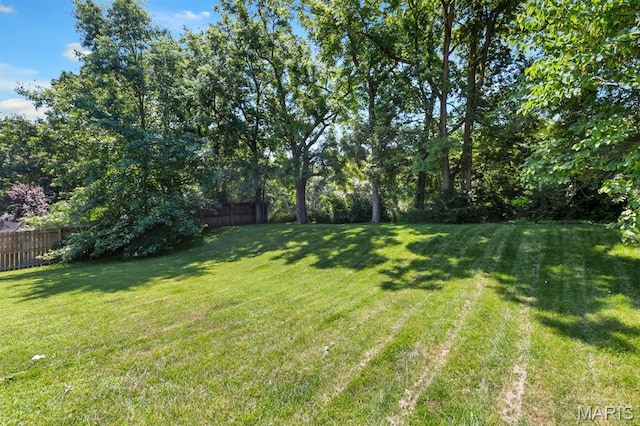 25 Saint Kathleen Ct, Troy, MO 63379 - view of yard