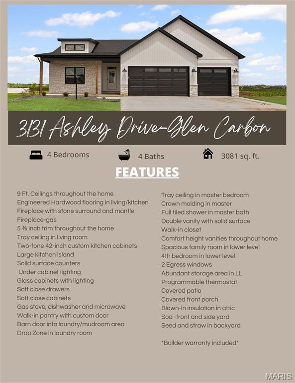 3131 Ashley Dr, Glen Carbon, IL 62034 - view of miscellaneous listing collateral