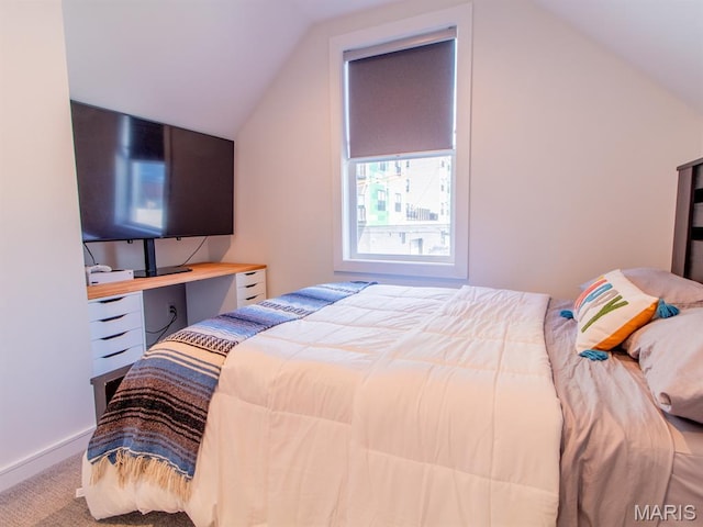 4427 Swan Ave, Saint Louis, MO 63110 - photo 26