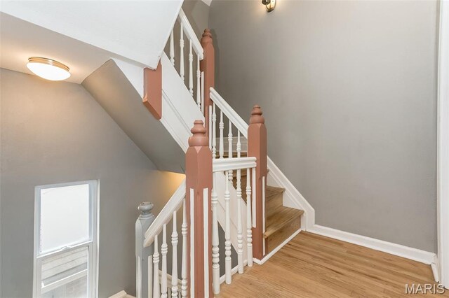 3335 Pennsylvania Ave, Saint Louis, MO 63118 - photo 17