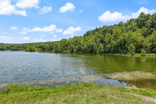 11675 Billings Rd, Saint Genevieve, MO 63670