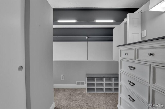 1523 S 10th St Unit 107, Saint Louis, MO 63104 - photo 11