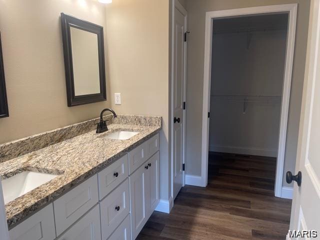 259 Broch Tuarach Pl, Jackson, MO 63755 - bathroom featuring wood finished floors, double vanity, and a walk in closet
