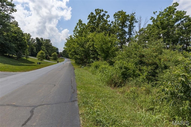 10546 Glen Oaks Dr, Pebble Creek North Festus, MO 63028 - photo 1