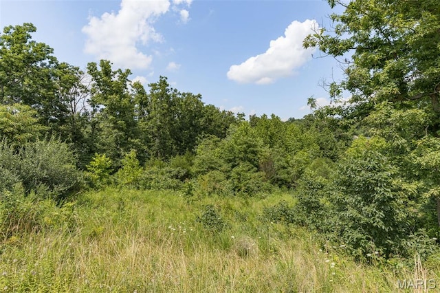 10546 Glen Oaks Dr, Pebble Creek North Festus, MO 63028 - photo 2