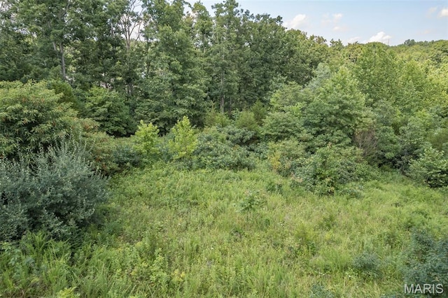 10546 Glen Oaks Dr, Pebble Creek North Festus, MO 63028 - photo 3