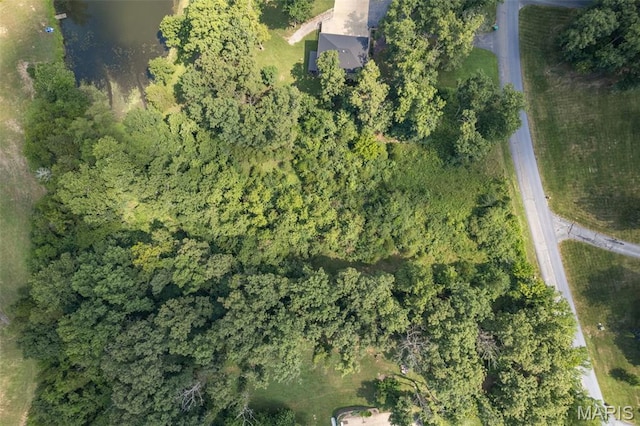 10546 Glen Oaks Dr, Pebble Creek North Festus, MO 63028 - photo 7