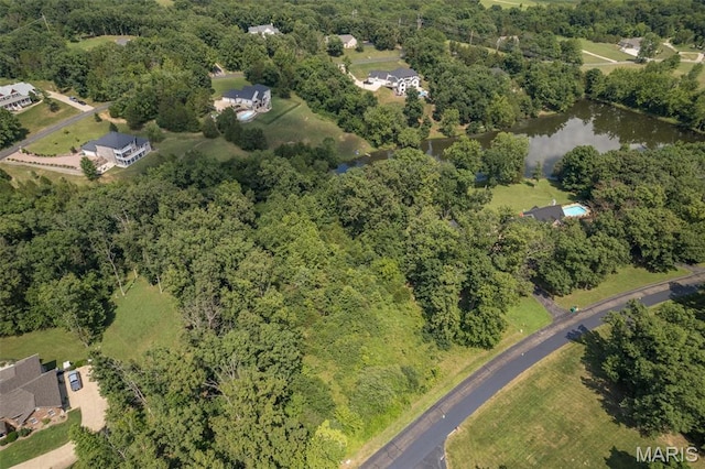 10546 Glen Oaks Dr, Pebble Creek North Festus, MO 63028 - photo 15