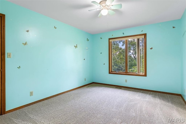 410 W Lueking Dr, De Soto, MO 63020 - photo 22