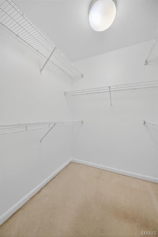 36 Mountain Laurel Dr, Saint Peters, MO 63376 - spacious closet with light colored carpet