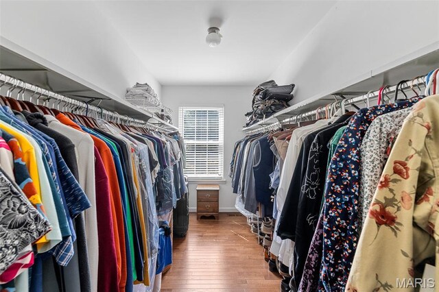 307 Blue Ridge Place Ct, Ballwin, MO 63011 - spacious closet with wood-type flooring