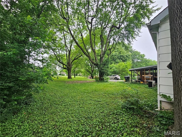2060 Washington St, Florissant, MO 63033 - view of yard