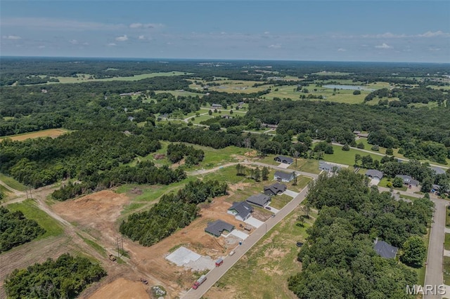 1817 Vadie Ave, Lebanon, MO 65536 - aerial view of property and surrounding area