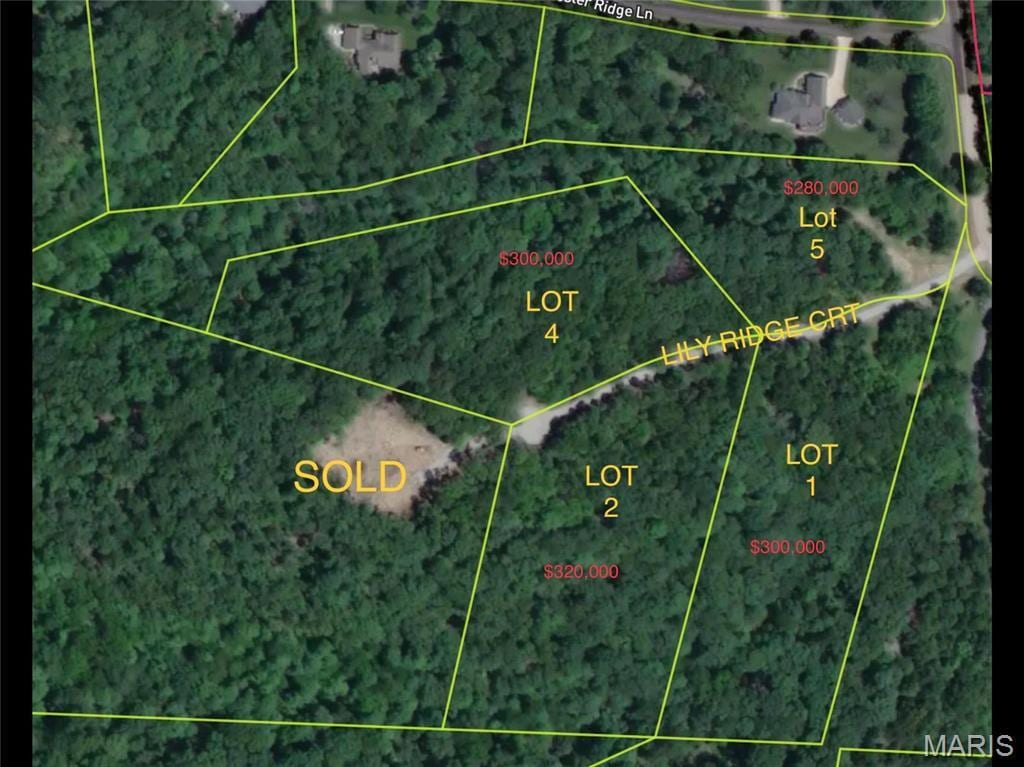 5000 Lily Rdg, Defiance, MO 63341 - photo 2