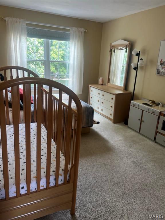 849 Forder Crossing Dr, Saint Louis, MO 63129 - photo 29