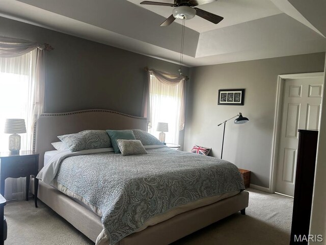 849 Forder Crossing Dr, Saint Louis, MO 63129 - photo 32