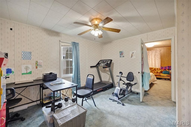 204 E Jefferson St, Potosi, MO 63664 - workout area with carpet floors, a ceiling fan, wallpapered walls, and ornamental molding