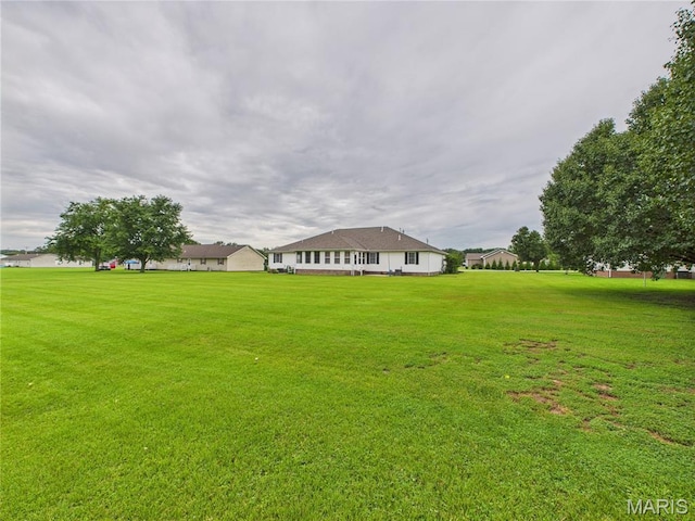 1110 State Highway Ad, Dexter, MO 63841 - view of grassy yard